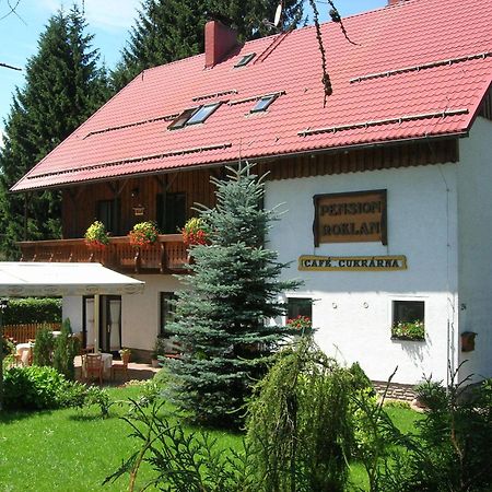 Pension Roklan Zelezna Ruda Exterior photo